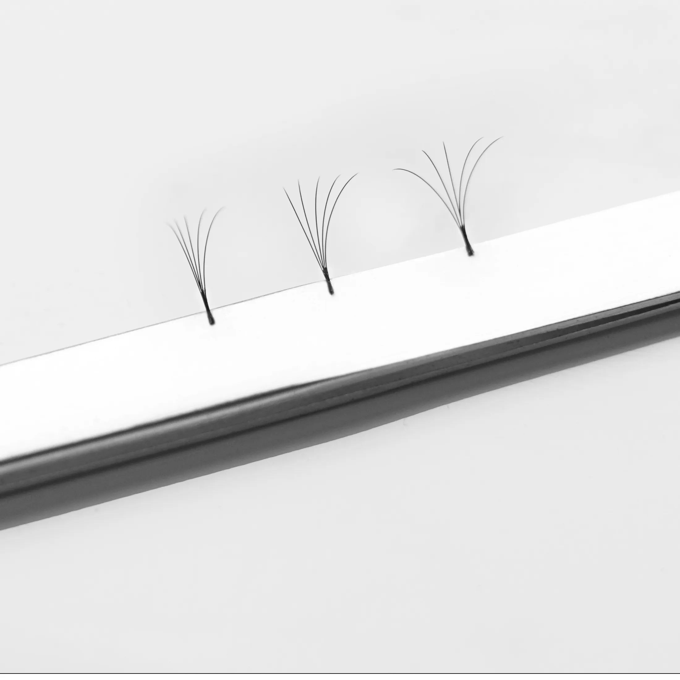 Services Lash Extension Everlash Lash Expert